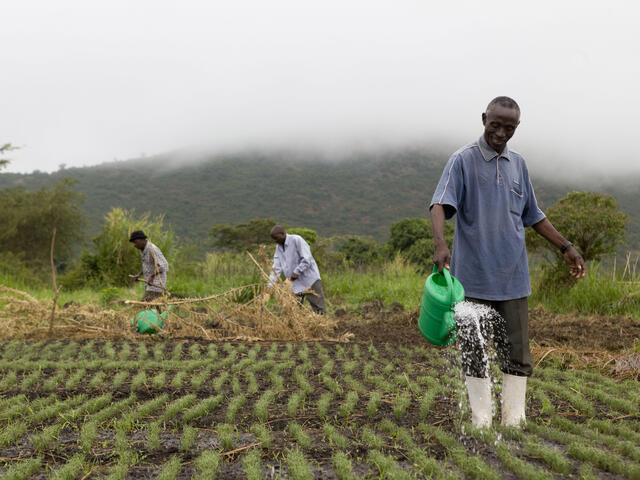 Agribusiness Development